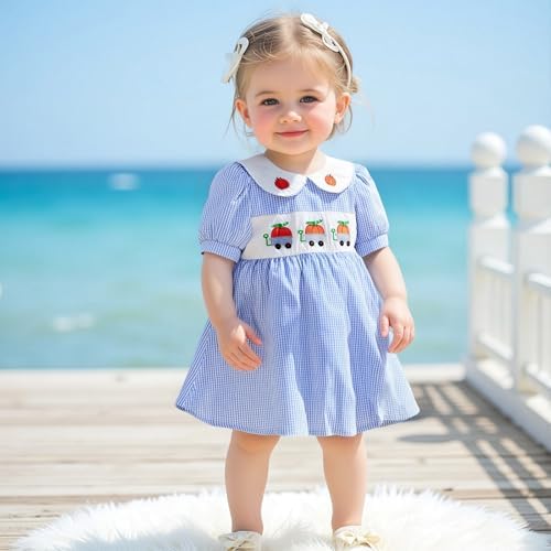 MCHAGIN Kids Baby Girls Short Sleeve Plaid Embroidery Dress