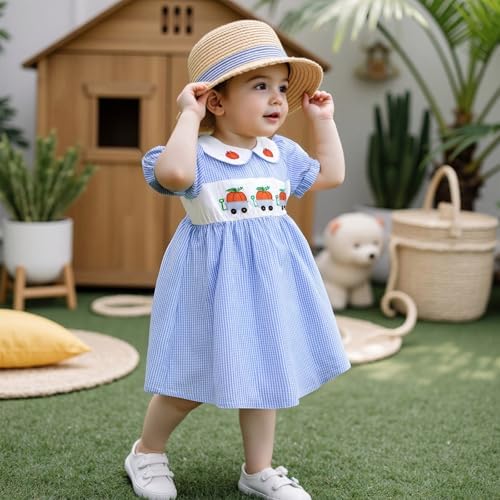 MCHAGIN Kids Baby Girls Short Sleeve Plaid Embroidery Dress