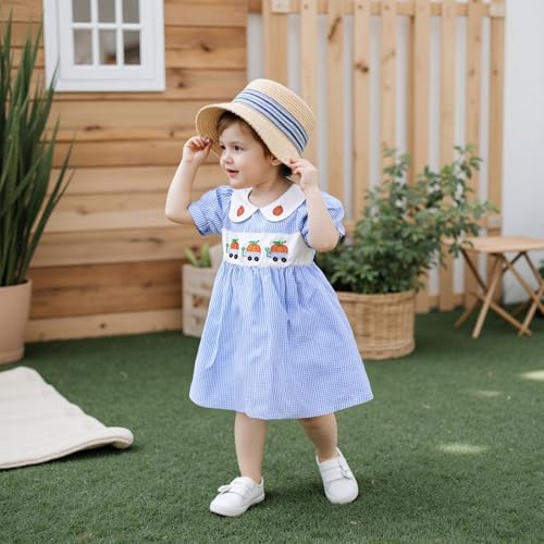 MCHAGIN Kids Baby Girls Short Sleeve Plaid Embroidery Dress