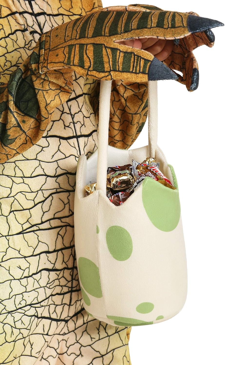 Amazing Dinosaur Treat Bag